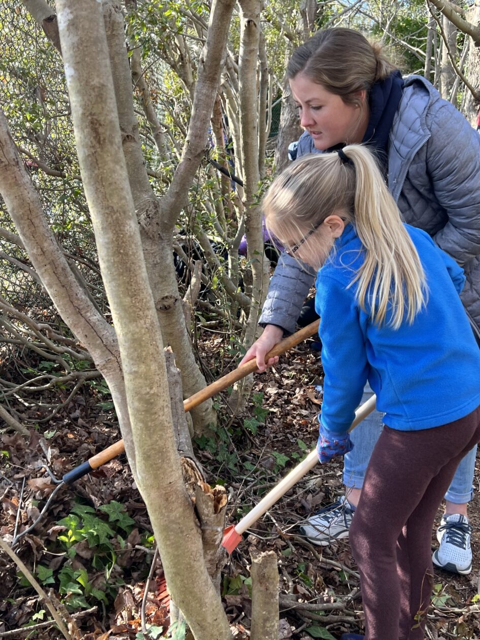 A preservice teacher helps a students remove invasive species in a forest.