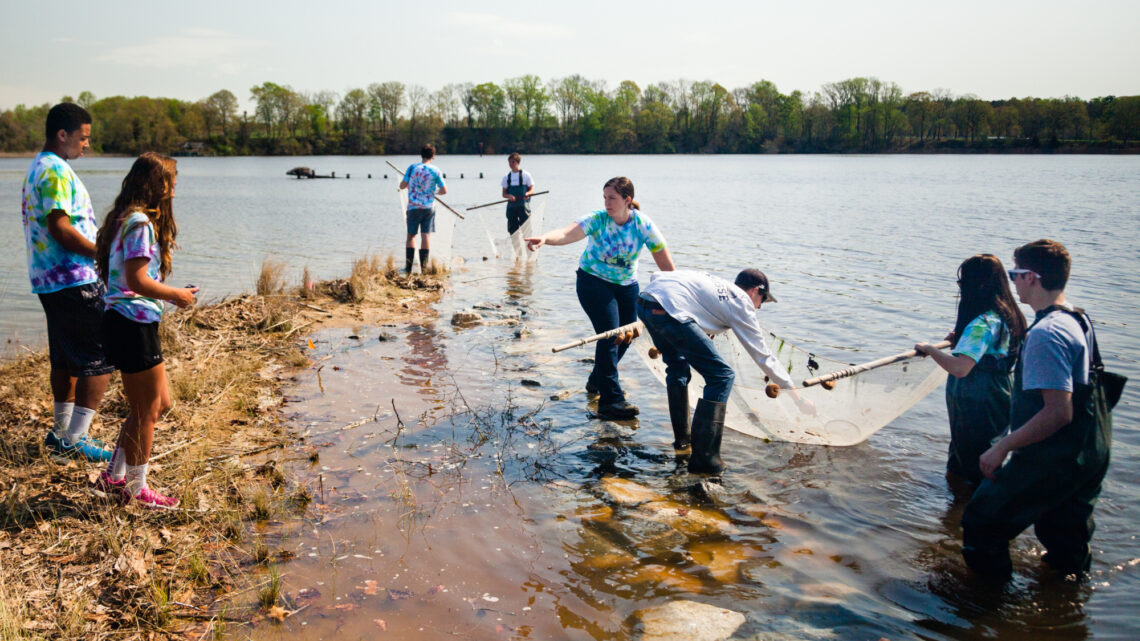 Students seining in a river