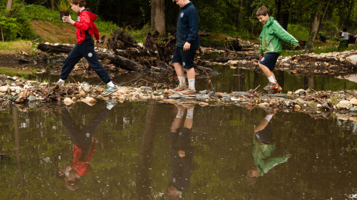 Students wading through a shallow stream in the woods carrying potted plants and shovels.