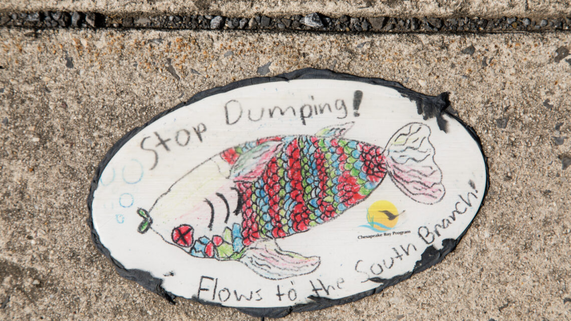 A decal showing a dead fish with text "Stop Dumping! Flows to the South Branch" designed by 5th grade students and placed next to a drain