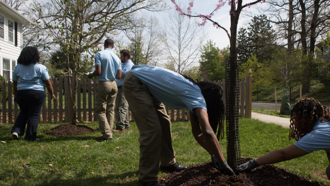 River Corps staff members visit RiverSmart homes in Washington, D.C. and plant trees