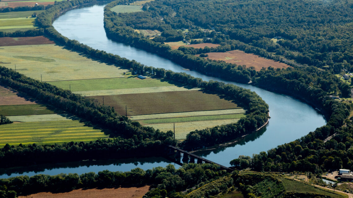 Forest buffers between a river and farm fields