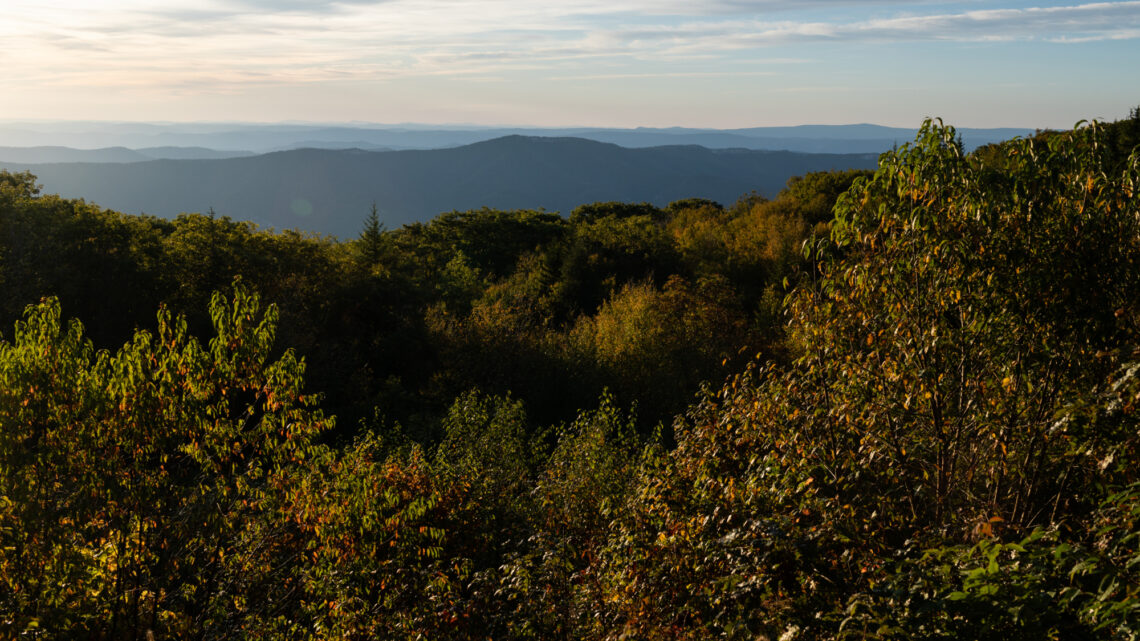 Forested landscape in Monongahela National Forest, West Virginia