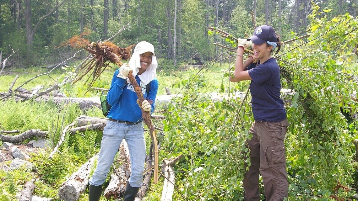 Volunteers cleaning up their woods