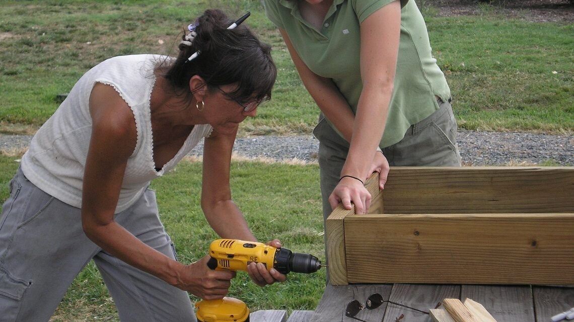 Volunteers working on a project to support wildlife