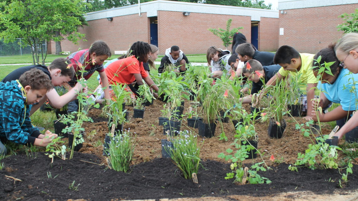 School children planting a garden