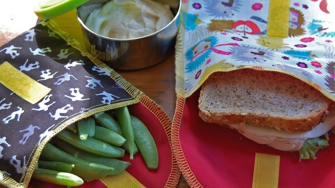 lunch packed in reusable containers