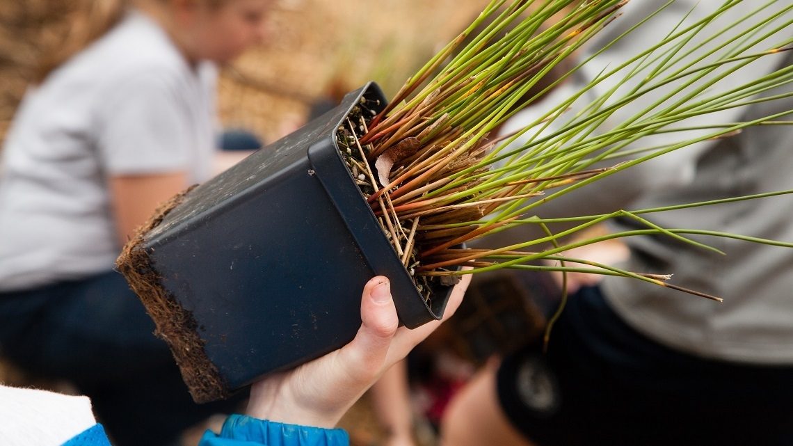 Students from St. Andrew's Day School in Edgewater, Md., visit the site of restored wetlands