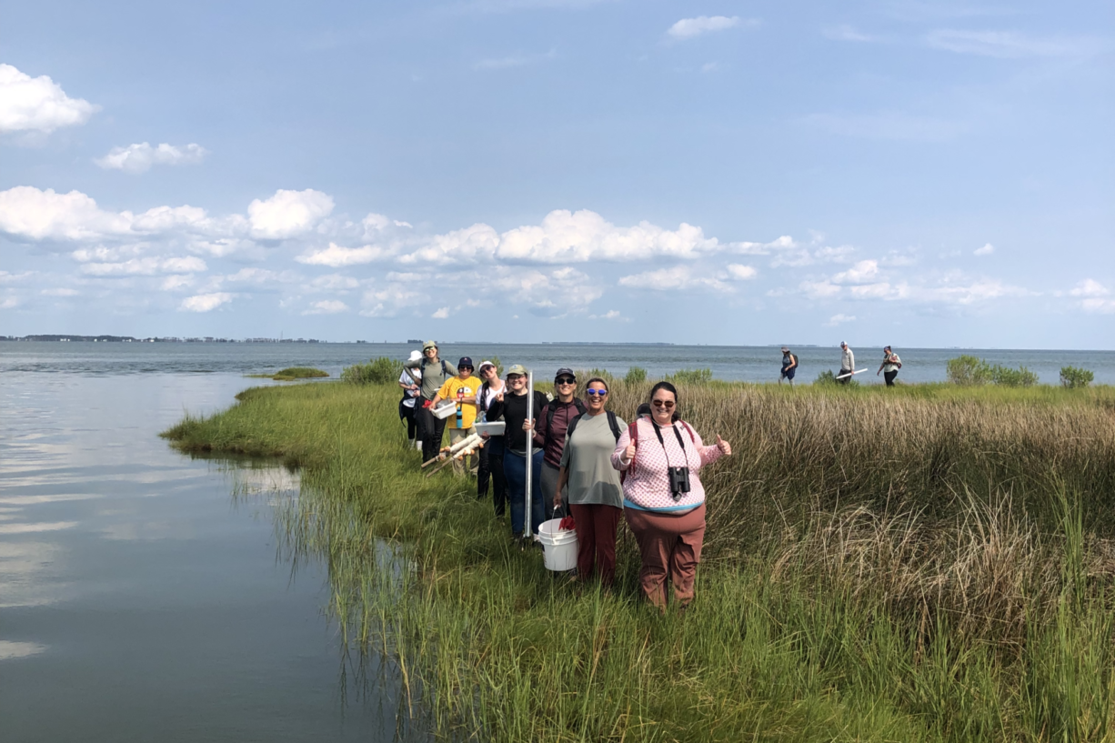 Classroom teachers walking through a wetland.