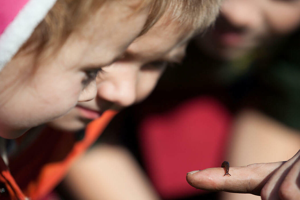 Students look at a slug