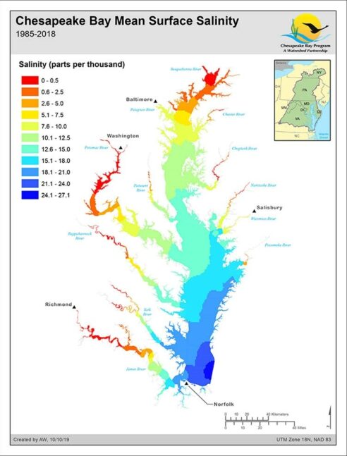 Maps   Salinity Surface 750 