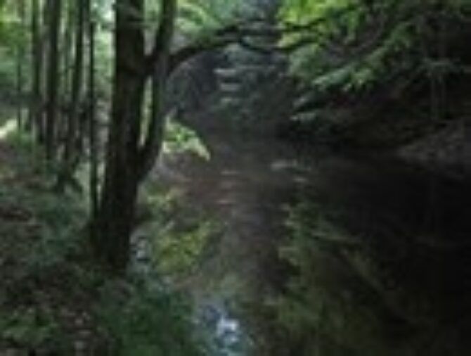 Tributary Tuesday Cayuta Lake and Cayuta Creek (New York and Pennsylvania)