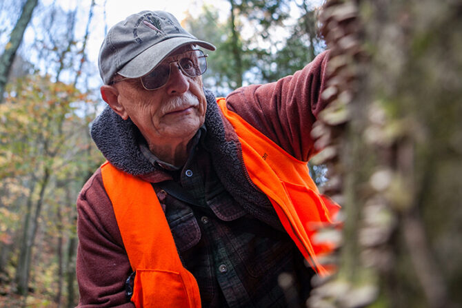 Discovering the hidden world of forest fungi