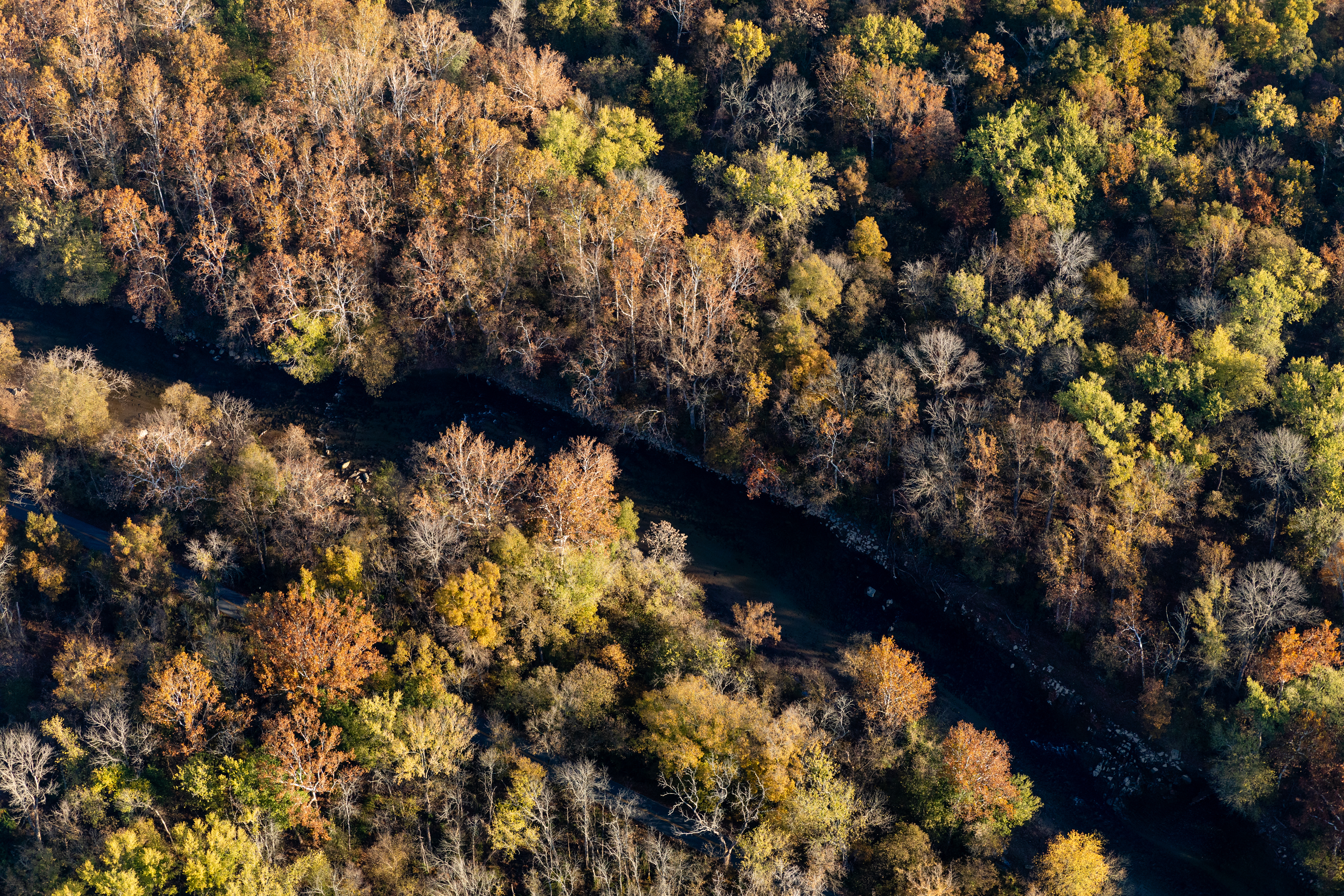 Forested land with river running through