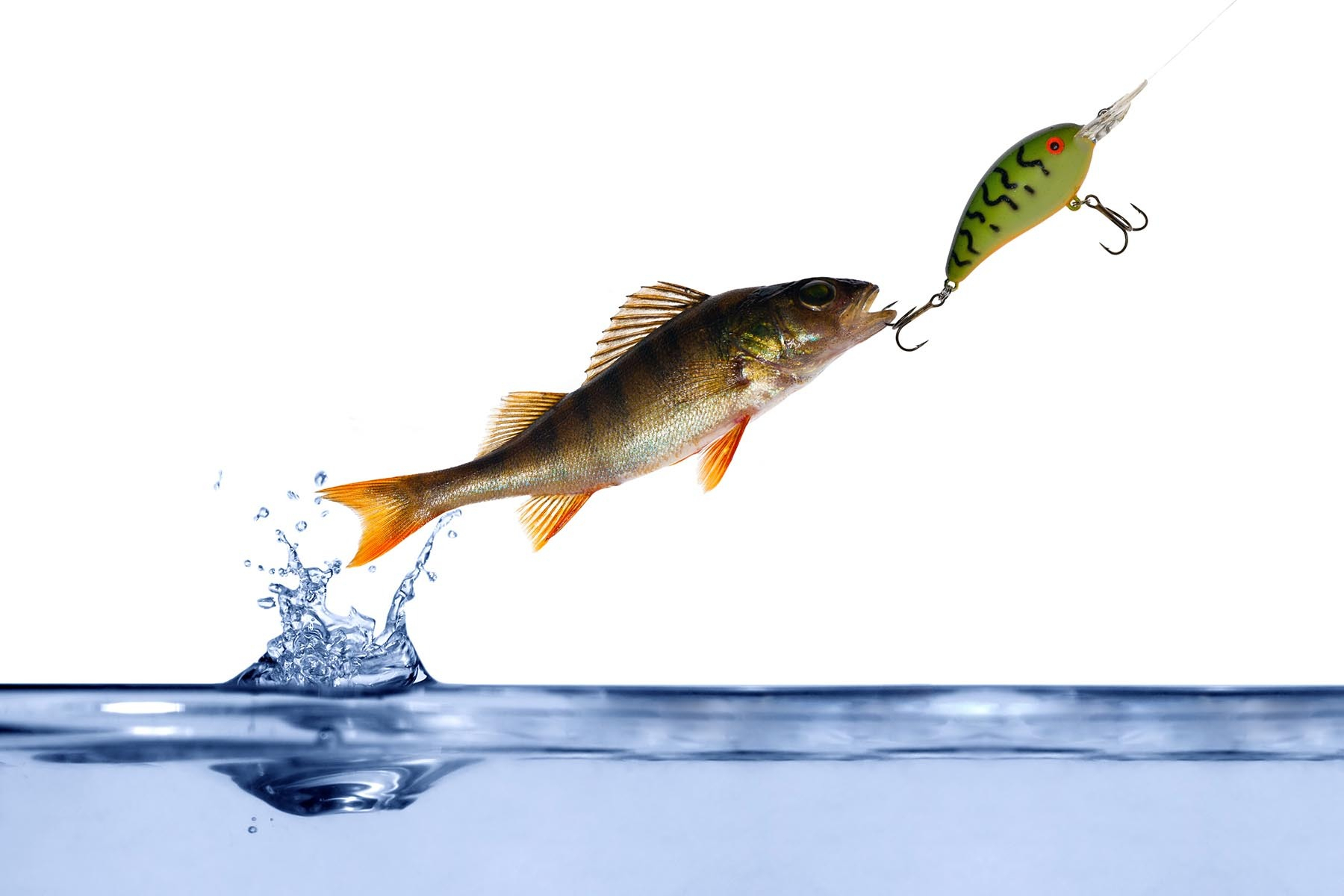 By the Numbers: 3 milligrams per liter