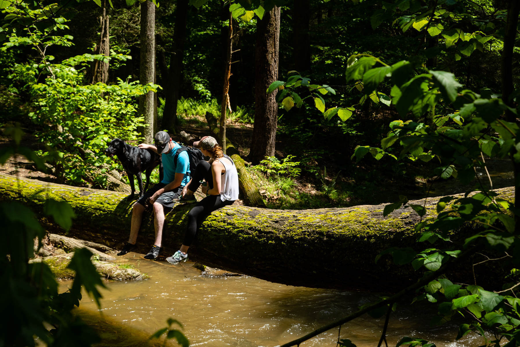 Conserving land in Lancaster County