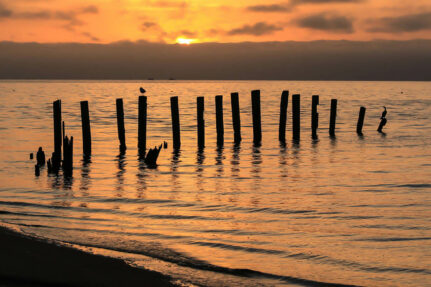 The sun sets behind an old dock.