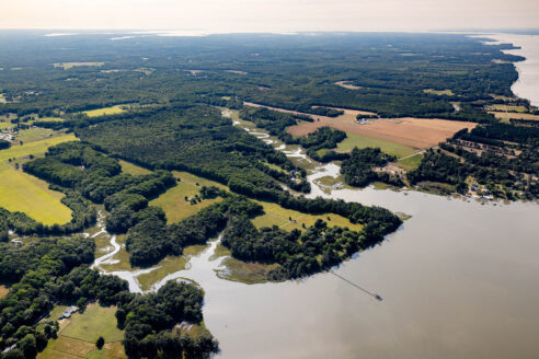 Fishing for blue catfish is good for the Bay, but be careful when