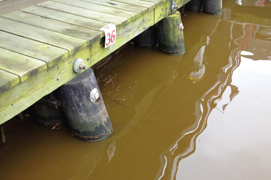 Taking a deeper dive on oxygen in the Chesapeake Bay
