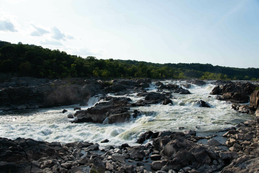 are dogs allowed at great falls park