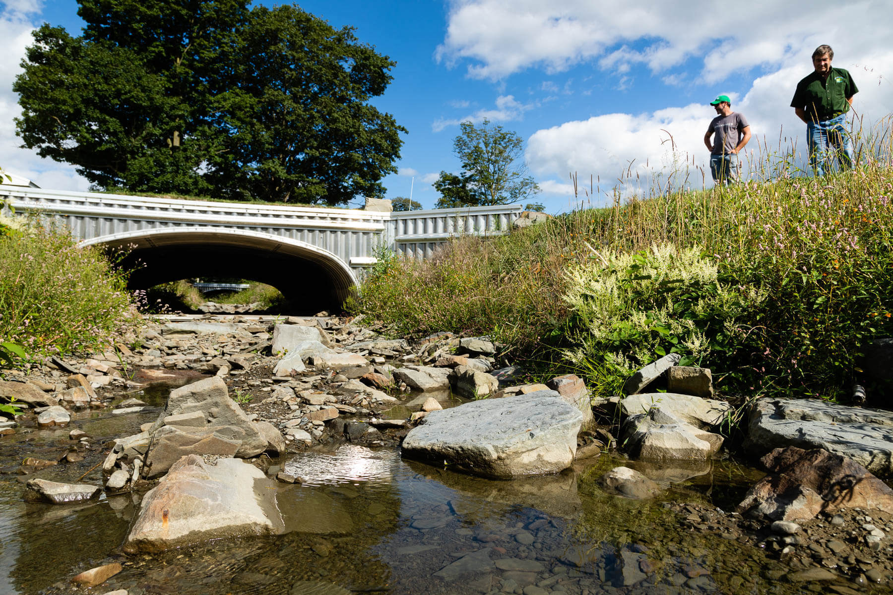 A bridge allows water to pass underneath without impact fish travel.