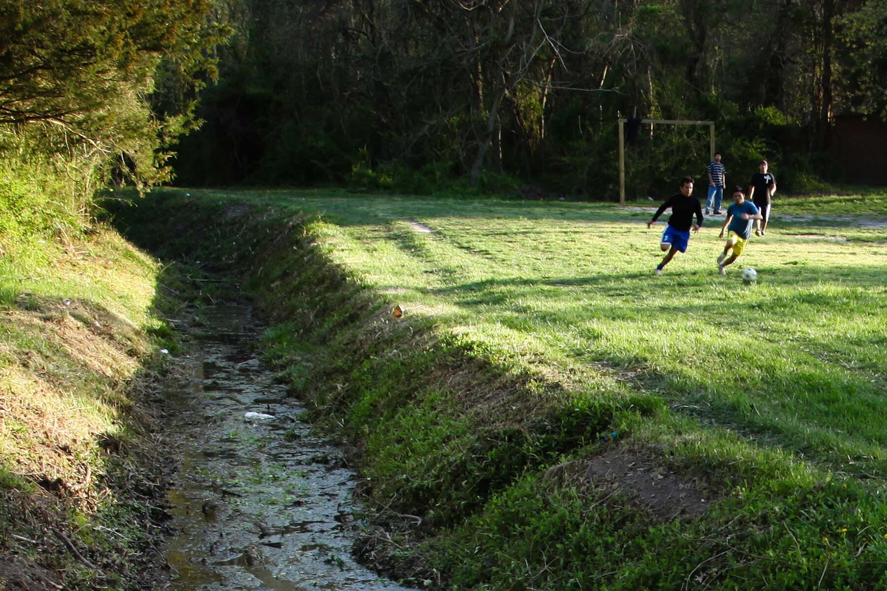 Report recommends managing roadside ditches to improve health of local ...