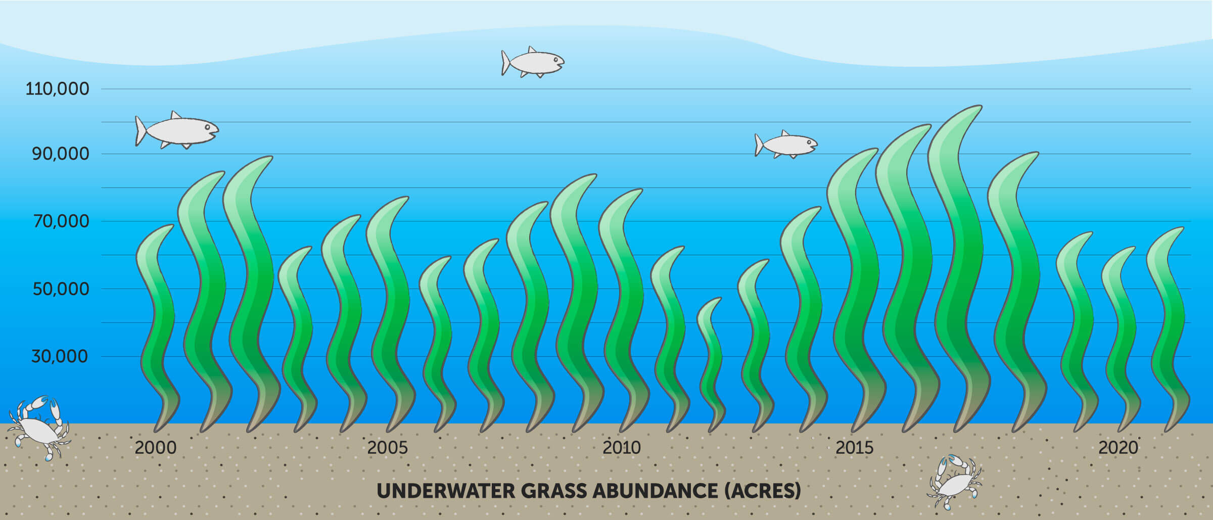 In 2021, an estimated 67,470 acres of underwater grasses were mapped in the Chesapeake Bay and its tidal tributaries