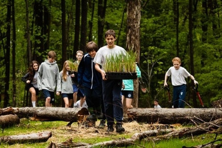 Students planting native bur-reed seedlings in Annapolis, Md.