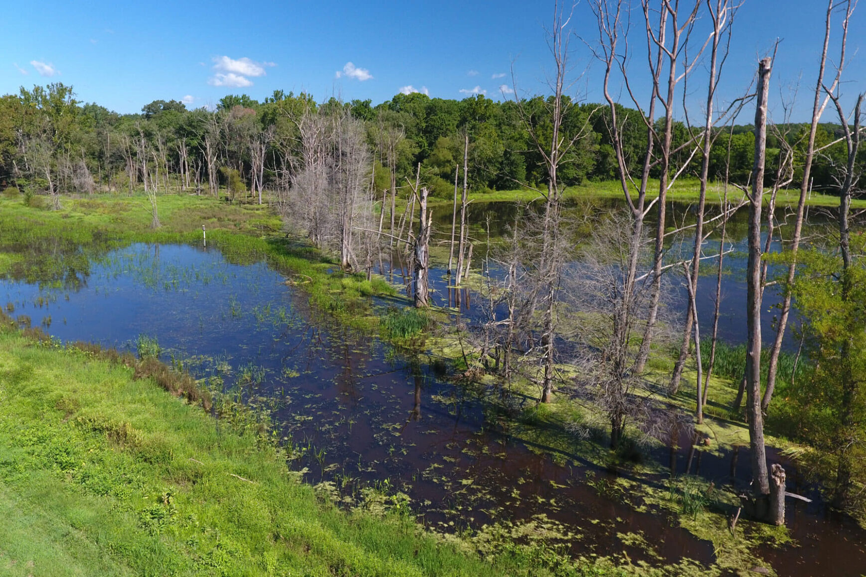 Understanding Wetlands Wetlands Work